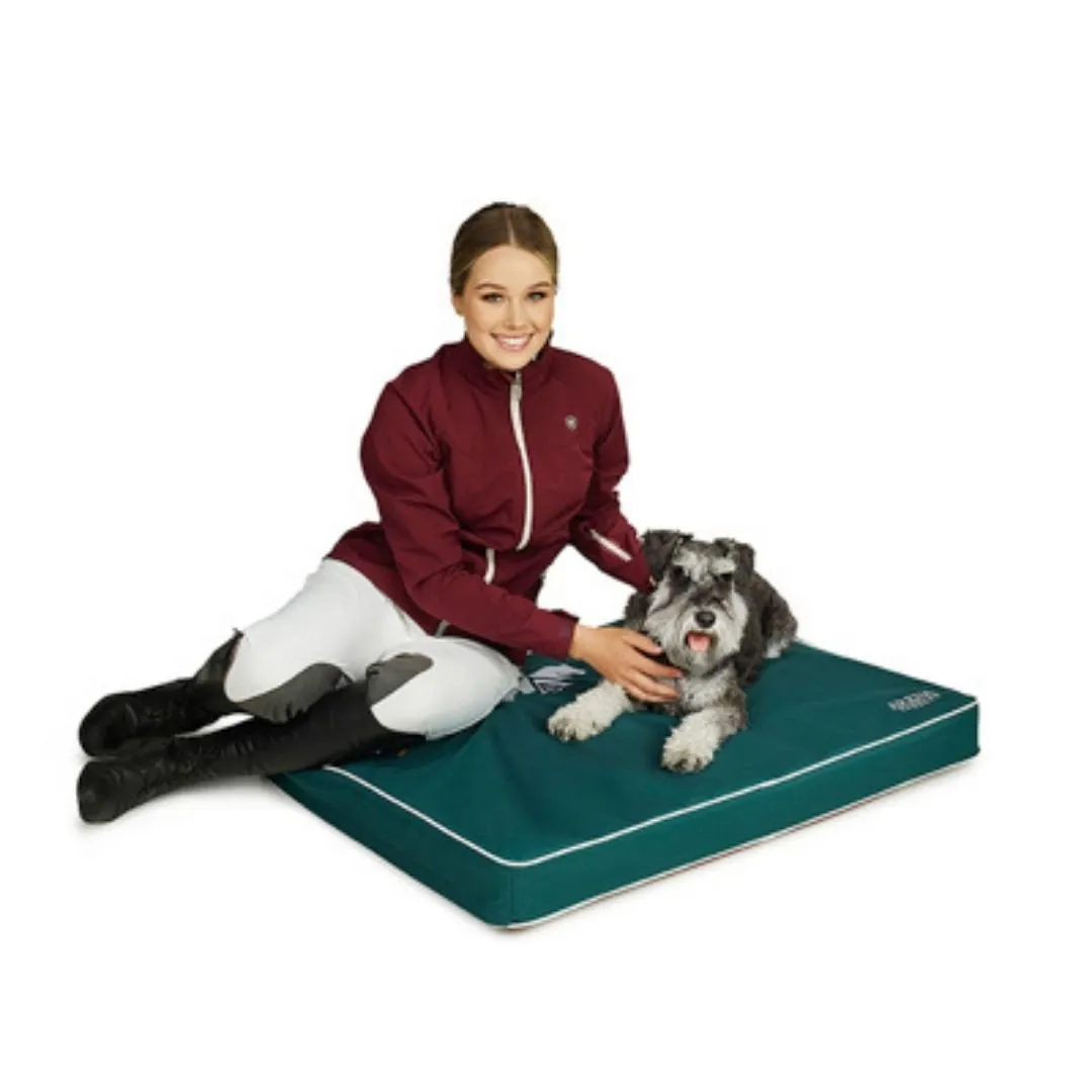 Arena Dog Bed
